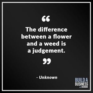 Meet your Posher, Erica